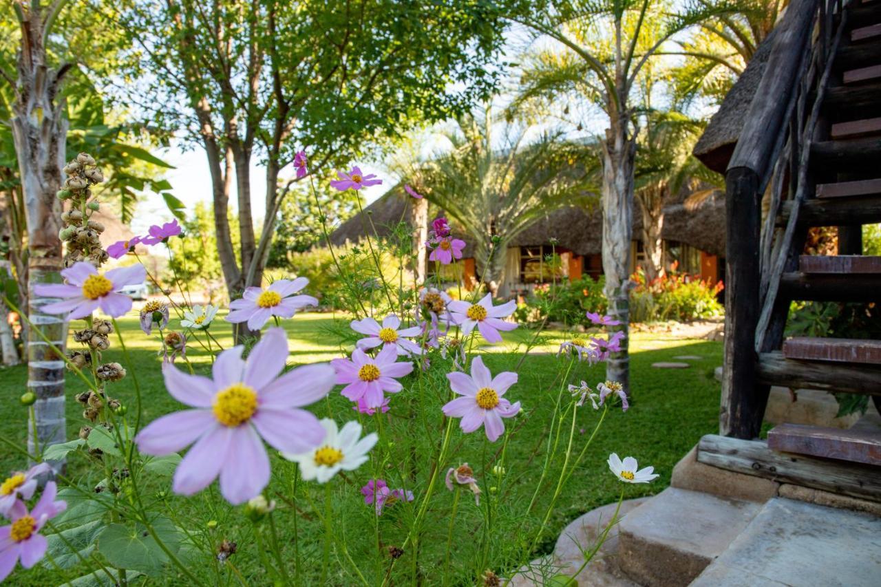 Lion'S Den Guesthouse Очиваронго Экстерьер фото